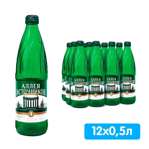 ALLEYA ISTOCNIKOV Mineral Water 0.5L X 12